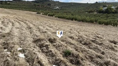 Rustic Finca in Rute photo 4