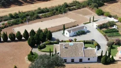 Rustic Finca in Constantina photo 2