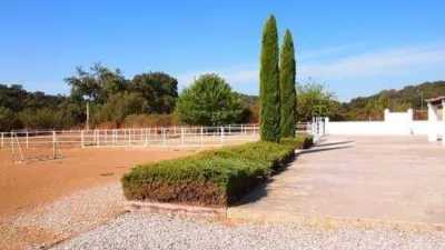 Rustic Finca in Constantina photo 6