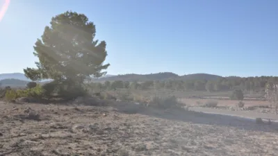 Terreno en venta en El Pinós - Pinoso - Vista 5