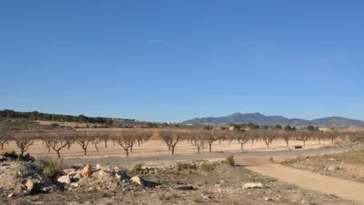 Terreno en venta en El Pinós - Pinoso - Más