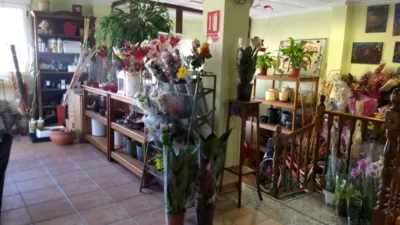 Casa – el Pinós / Pinoso - Vista 3