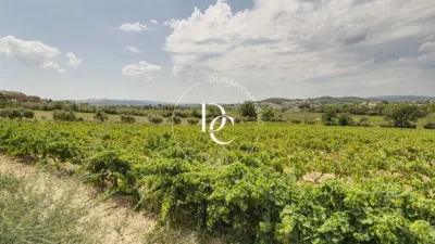 Rustic Finca in Font-Rubí photo 7