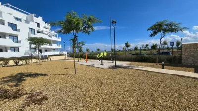 Apartment in Santa Rosalía photo 26