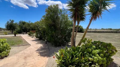 Rustic Finca in Campos photo 13