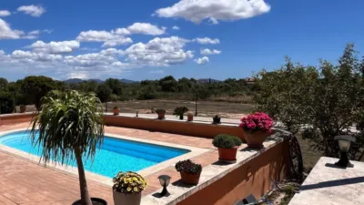 Rustic Finca in Campos photo 5