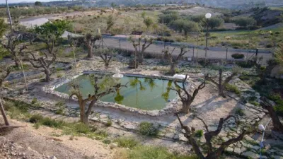House in Abanilla photo 11