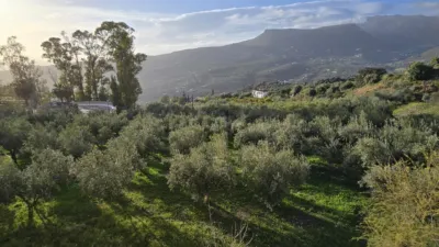 House in Alcaucín photo 5