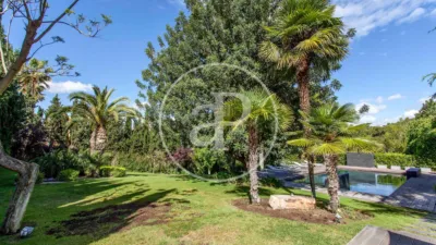 Villa in Chiva photo 45