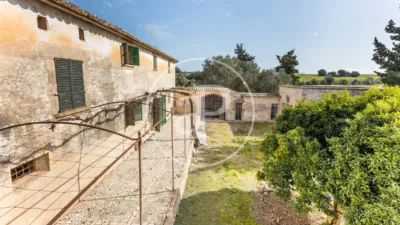 House in Algaida photo 10