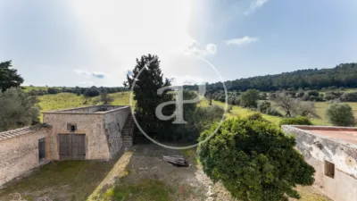 House in Algaida photo 41
