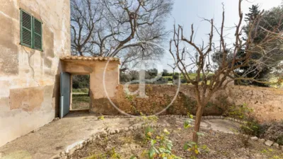 House in Algaida photo 42