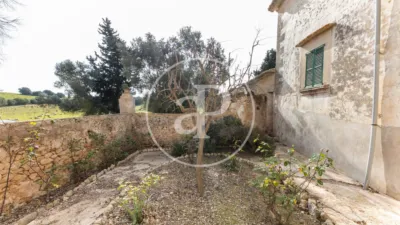 House in Algaida photo 43