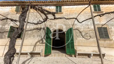 House in Algaida photo 45