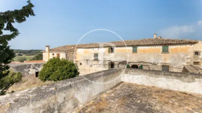 House in Algaida photo 50