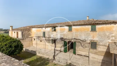House in Algaida photo 51