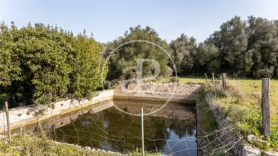 House in Algaida photo 64