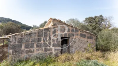 House in Algaida photo 65