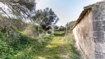 House in Algaida photo 68