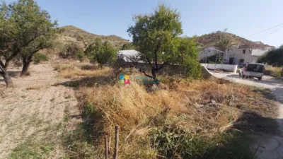 Rustic Finca in Albanchez photo 10