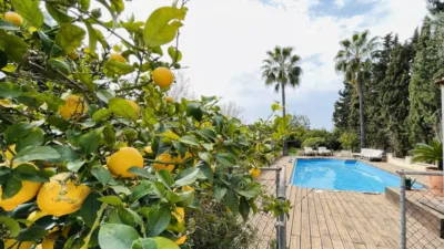 Rustic Finca in Algaida photo 2