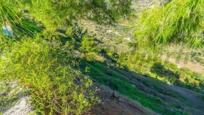 Rustic farm in Frigiliana photo 2