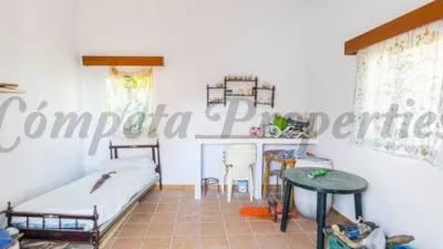 Rustic farm in Frigiliana photo 4