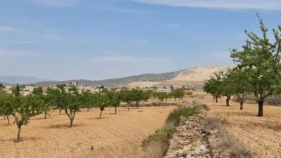 Terreno en venta en Algueña - Vista 2