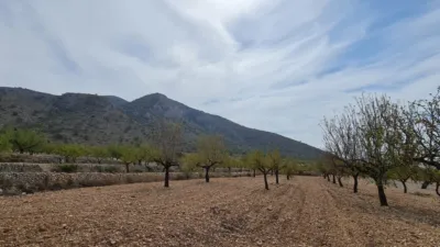Terreno en venta en Algueña - Vista 3