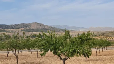 Terreno en venta en Algueña - Vista 4