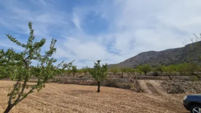 Terreno en venta en Algueña - Vista 5