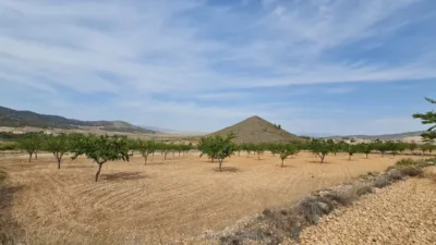 Terreno en venta en Algueña - Més