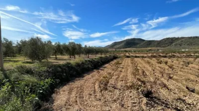 Rustic farm in Cañada de La Lena photo 49