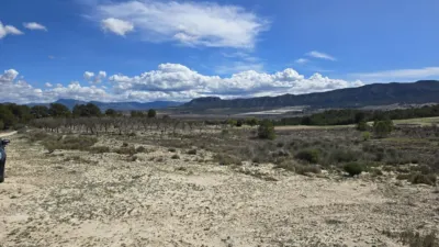 Terreno en venta en Salinas - Més