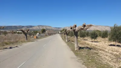 Terreno en venta en Beneixama - Vista 4