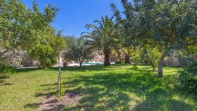 House in Sóller photo 46
