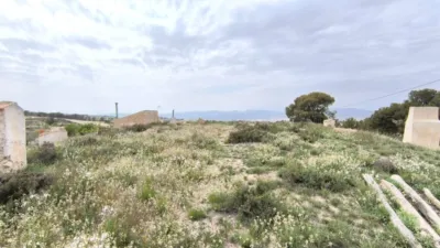 Rustic Finca in Jumilla photo 20