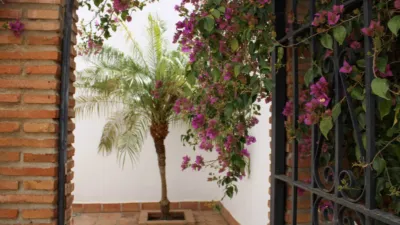 Casa en Almáchar photo 26