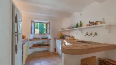 Rustic Finca in Sóller photo 18