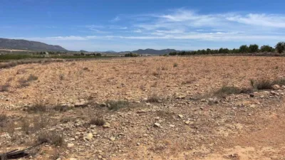 Terreno en venta en El Pinós - Pinoso - Vista 4
