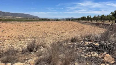 Terreno en venta en El Pinós - Pinoso - Vista 5