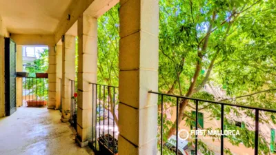 Apartment in Sóller photo 6