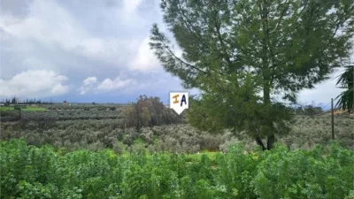 Rustic Finca in Casariche photo 3
