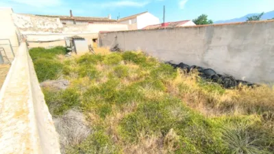 Rustic Finca in Jumilla photo 19