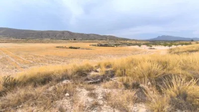 Rustic Finca in Jumilla photo 20