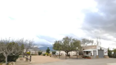 Rustic Finca in Jumilla photo 6
