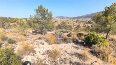Terreno en venta en La Romana - Vista 2