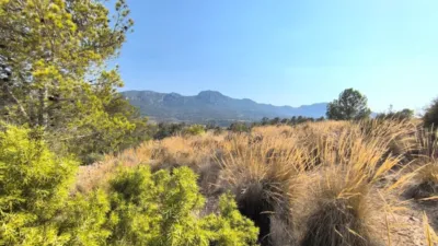 Terreno en venta en La Romana - Vista 3