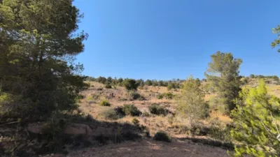 Terreno en venta en La Romana - Vista 4