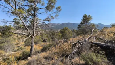 Terreno en venta en La Romana - Vista 5